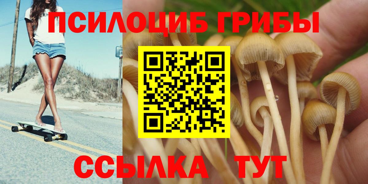 Псилоцибиновые грибы MAGIC MUSHROOMS  Галлюциногенные грибы прущие грибы  Вход с VPN  Полевской 
